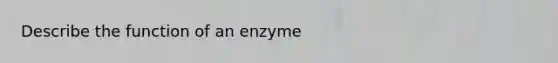 Describe the function of an enzyme