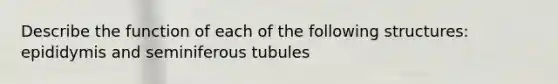 Describe the function of each of the following structures: epididymis and seminiferous tubules