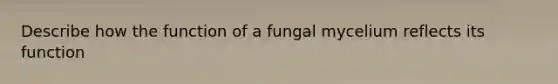 Describe how the function of a fungal mycelium reflects its function