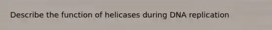 Describe the function of helicases during DNA replication