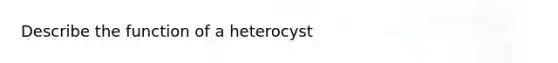 Describe the function of a heterocyst