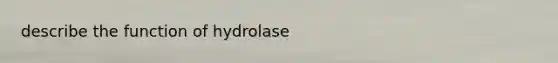 describe the function of hydrolase