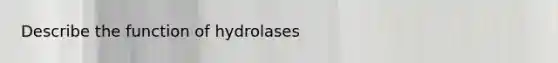 Describe the function of hydrolases