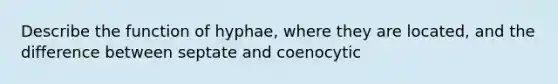 Describe the function of hyphae, where they are located, and the difference between septate and coenocytic