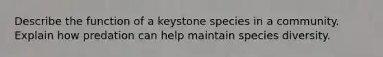 Describe the function of a keystone species in a community. Explain how predation can help maintain species diversity.