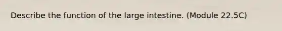 Describe the function of the large intestine. (Module 22.5C)