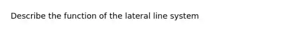 Describe the function of the lateral line system