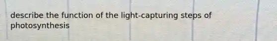 describe the function of the light-capturing steps of photosynthesis