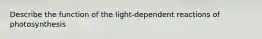 Describe the function of the light-dependent reactions of photosynthesis