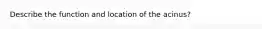 Describe the function and location of the acinus?