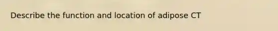 Describe the function and location of adipose CT