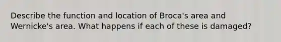 Describe the function and location of Broca's area and Wernicke's area. What happens if each of these is damaged?