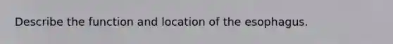 Describe the function and location of the esophagus.