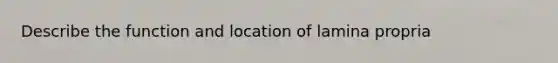 Describe the function and location of lamina propria