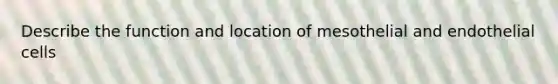 Describe the function and location of mesothelial and endothelial cells