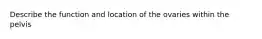 Describe the function and location of the ovaries within the pelvis