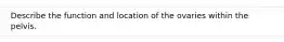 Describe the function and location of the ovaries within the pelvis.