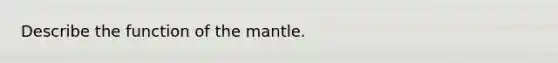 Describe the function of the mantle.