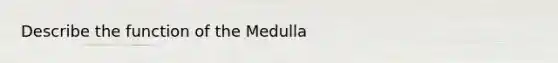 Describe the function of the Medulla