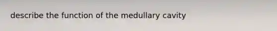 describe the function of the medullary cavity