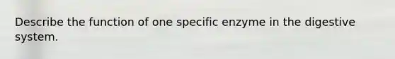 Describe the function of one specific enzyme in the digestive system.