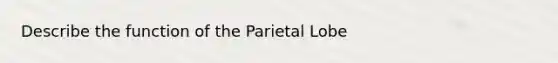 Describe the function of the Parietal Lobe