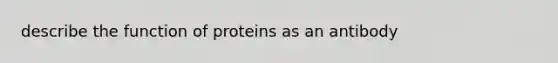 describe the function of proteins as an antibody