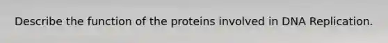 Describe the function of the proteins involved in DNA Replication.