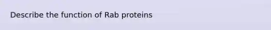 Describe the function of Rab proteins