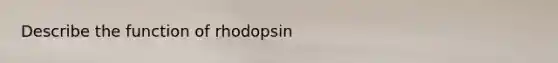 Describe the function of rhodopsin