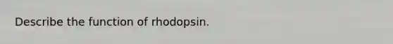 Describe the function of rhodopsin.