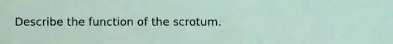 Describe the function of the scrotum.