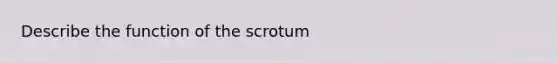 Describe the function of the scrotum