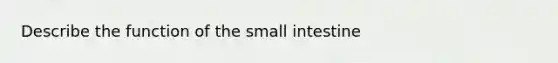 Describe the function of the small intestine