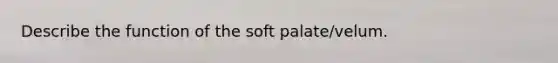 Describe the function of the soft palate/velum.