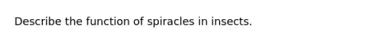 Describe the function of spiracles in insects.