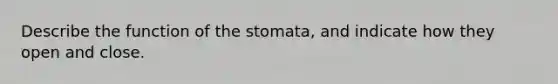 Describe the function of the stomata, and indicate how they open and close.