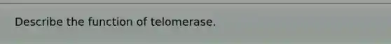 Describe the function of telomerase.