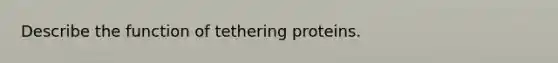 Describe the function of tethering proteins.