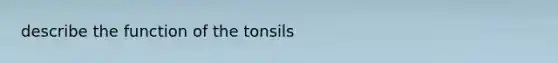 describe the function of the tonsils