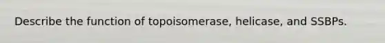 Describe the function of topoisomerase, helicase, and SSBPs.