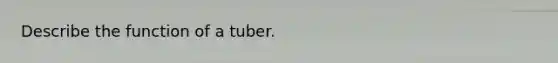 Describe the function of a tuber.