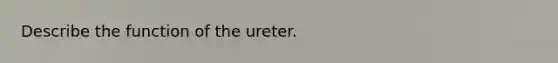 Describe the function of the ureter.