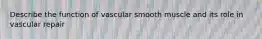 Describe the function of vascular smooth muscle and its role in vascular repair