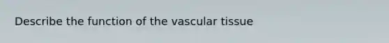 Describe the function of the vascular tissue