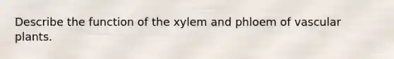 Describe the function of the xylem and phloem of vascular plants.