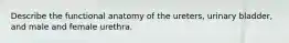 Describe the functional anatomy of the ureters, urinary bladder, and male and female urethra.