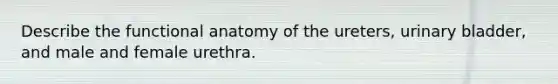 Describe the functional anatomy of the ureters, urinary bladder, and male and female urethra.