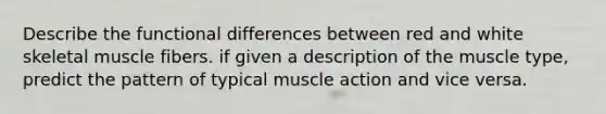 Describe the functional differences between red and white skeletal muscle fibers. if given a description of the muscle type, predict the pattern of typical muscle action and vice versa.