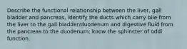 Describe the functional relationship between the liver, gall bladder and pancreas, identify the ducts which carry bile from the liver to the gall bladder/duodenum and digestive fluid from the pancreas to the duodenum; know the sphincter of oddi function.